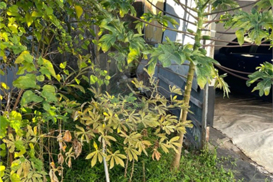 Terreno à venda em Tucuruvi, São Paulo, SP