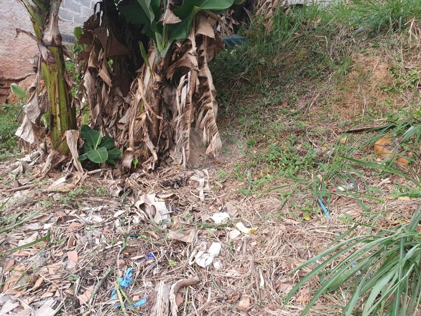 Terreno à venda em Vila Indiana, São Paulo, SP