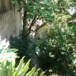 Casa térrea à venda em local tranquilo e arborizado