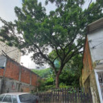 Loteamento à venda em Jardim Amália, São Paulo, SP