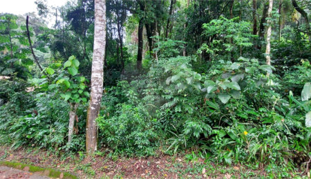 Condomínio à venda em Serra da Cantareira, Mairiporã, SP