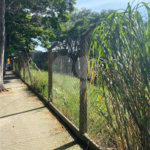 Terreno à venda em Jardim Guanciale, Campo Limpo Paulista, SP