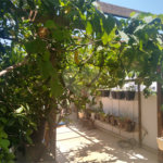 Casa à venda com 4 quartos, sendo 3 suítes, no condomínio Ibiti Royal Park, Sorocaba - SP