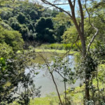 Sítio à venda com 4 quartos, sendo 2 suítes,  em Sorocamirim (canguera), São Roque, SP
