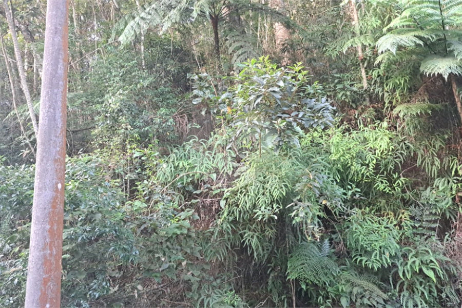 Terreno à venda no condomínio Associação Reserva das Hortênsias, Mairiporã - SP