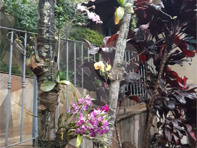 Sobrado à venda com 3 quartos, sendo 1 suíte,  em Vila Mazzei, São Paulo, SP