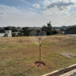 Terreno à venda em Residencial Jatobás, Louveira, SP