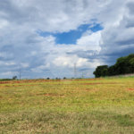 Área de Terra à venda em Jardim Botânico, Araraquara, SP