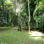 Terreno à venda em Jundiaizinho (terra Preta), Mairiporã, SP