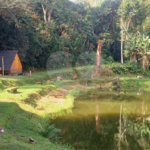 Chácara à venda com 5 quartos em Rio Acima, Mairiporã, SP