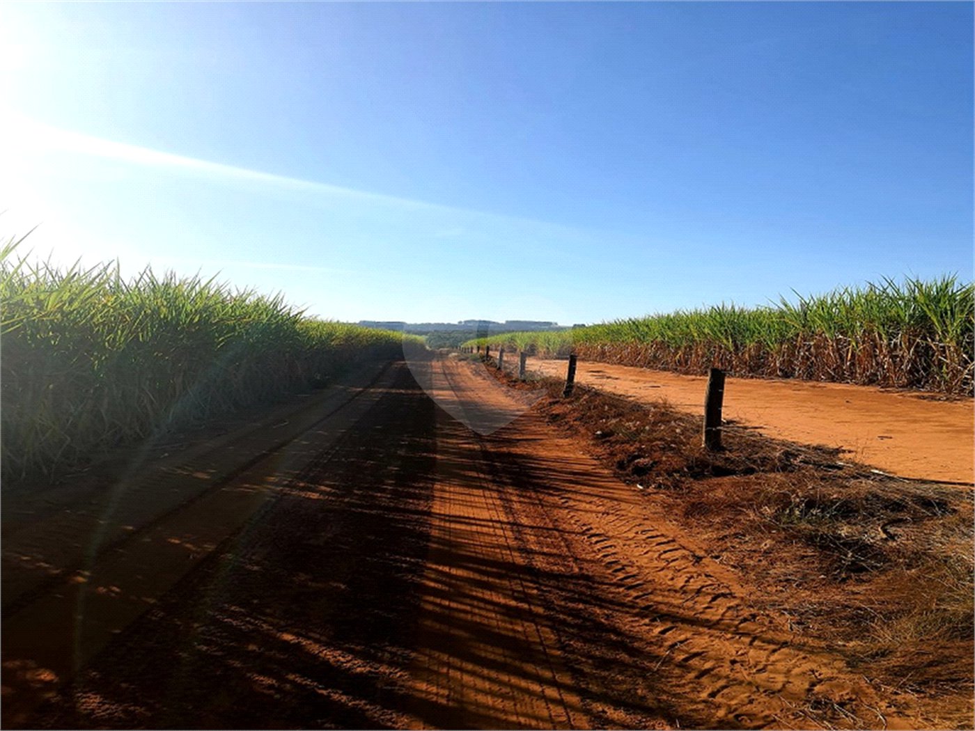 Fazenda em Ribeirão Bonito