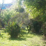 Casa à venda com 1 quarto em Parque Mandaqui, São Paulo, SP