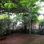 Casa à venda com 4 quartos, sendo 1 suíte,  em Jardim Petrópolis, São Paulo, SP