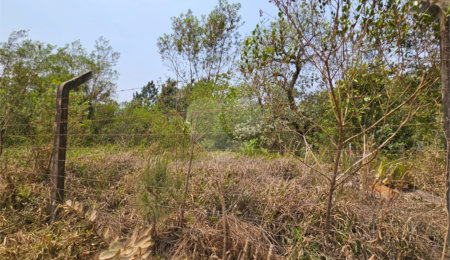 Terreno à venda em Curral, Ibiúna, SP