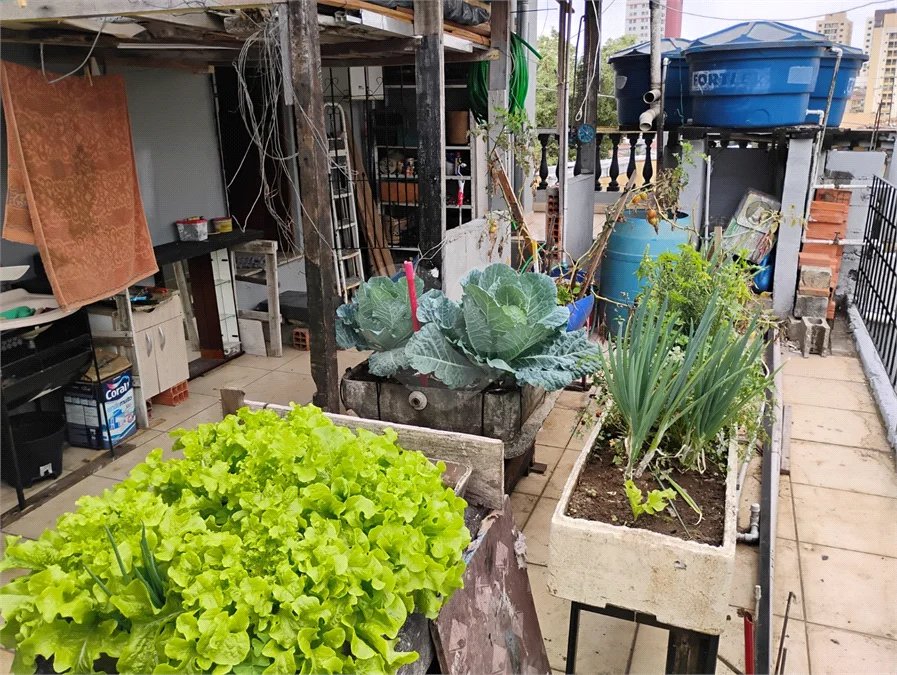Vende-se casa na Vila Santa Catarina - Excelente oportunidade para investimento e geração de renda