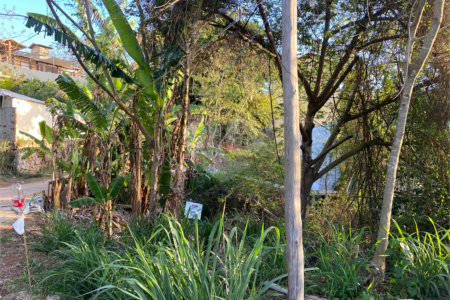 Terreno à venda em Albatroz, Armação dos Búzios, RJ