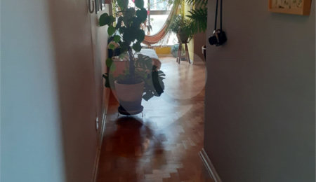 Apartamento à venda com 3 quartos em Campos Elíseos, São Paulo, SP