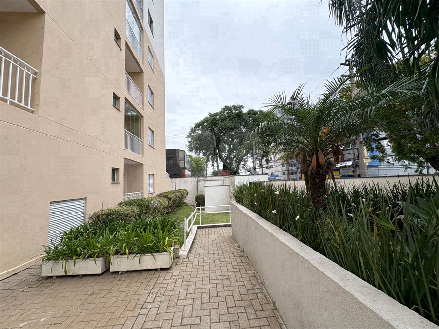 Apartamento à venda com 3 quartos, sendo 1 suíte, em Limão, São Paulo, SP