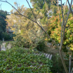 Terreno à venda em Tremembé, São Paulo, SP