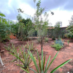Casa à venda com 2 quartos em Jardim Angélica, Três Lagoas, MS