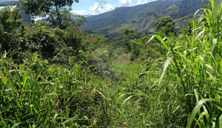 Terreno à venda em Luiz Fagundes, Mairiporã, SP