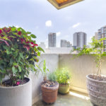 Apartamento à venda com 4 quartos, sendo 2 suítes, em Indianópolis, São Paulo, SP
