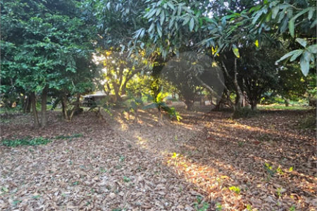 Terreno à venda em Jardim dos Estados, Ponta Porã, MS