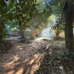 Terreno à venda em Residencial Ponta Porã I, Ponta Porã, MS