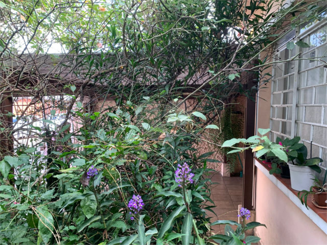 Casa Térrea à venda com 3 quartos em Chácara Santo Antônio (zona Sul), São Paulo, SP