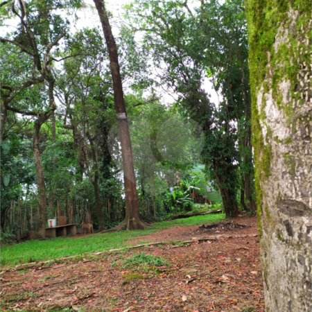 Chácara à venda com 5 quartos, sendo 2 suítes,  em Chácara Recreio Danubio, Holambra, SP