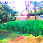 Sítio à venda com 3 quartos, sendo 1 suíte,  em Caputera, Mogi das Cruzes, SP