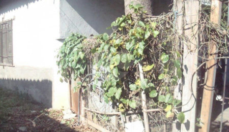 Terreno à venda em Vila Nova Mazzei, São Paulo, SP