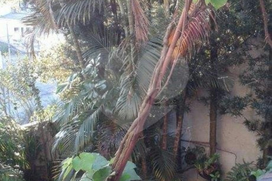 Casa Térrea à venda com 3 quartos, sendo 1 suíte, em Parque Peruche, São Paulo, SP