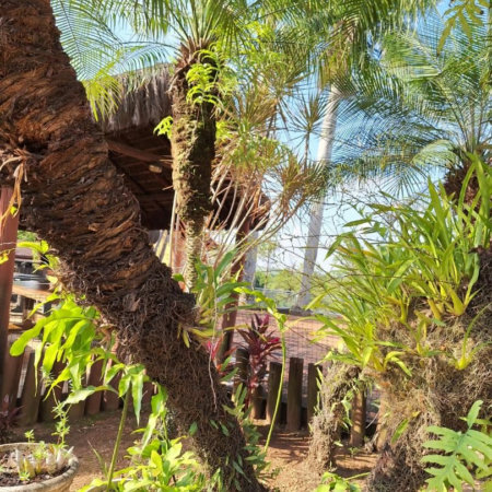 Rancho com 12 dormitórios à venda, 63000 m² por R$ 7.500.000,00 - Condomínio Haras Paineiras - Salto/SP