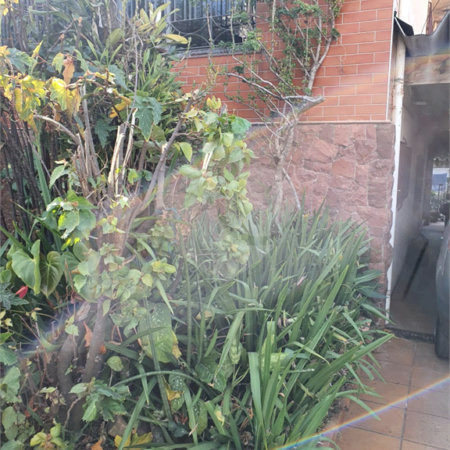 Terreno à venda em Vila Paulicéia, São Paulo, SP