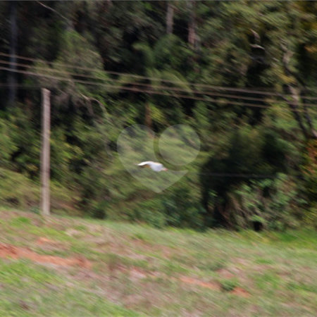 Sítio à venda com 8 quartos em Parque Rio Abaixo, Atibaia, SP