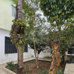 Sobrado à venda com 3 quartos, sendo 1 suíte, em Vila Sabrina, São Paulo, SP