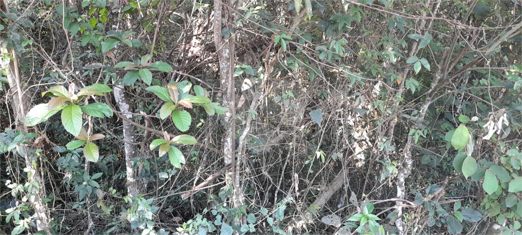 Terreno à venda em Roseira, Mairiporã, SP
