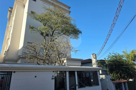 Apartamento à venda com 4 quartos, sendo 2 suítes, em Vila Paulicéia, São Paulo, SP