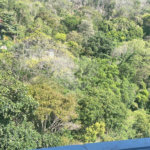 Apartamento à venda com 3 quartos, sendo 1 suíte, em Tijuca, Rio de Janeiro, RJ