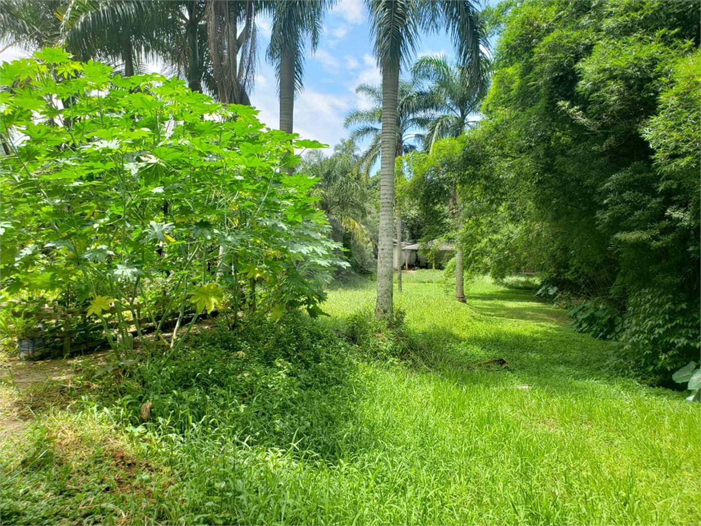 Terreno à venda em Horto, São Paulo, SP