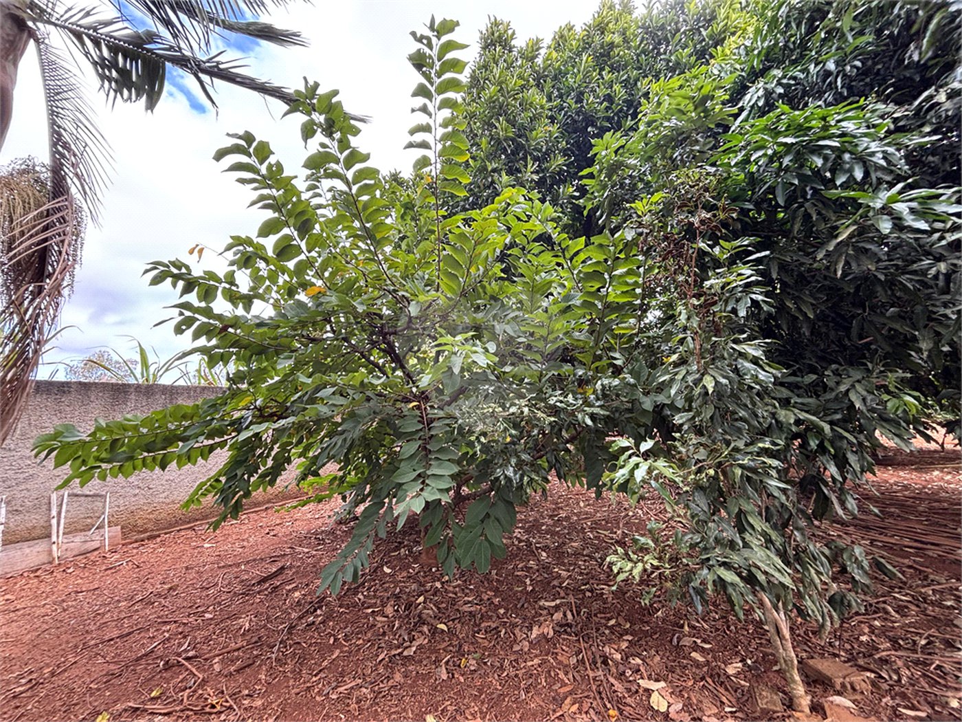 Chácara à venda com 3 quartos em Vila Sottemo, Itapetininga, SP