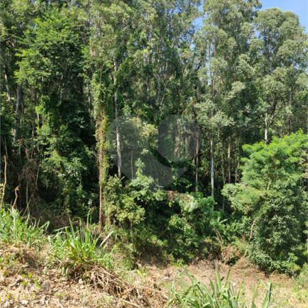 Terreno à venda no condomínio Vista Alegre Cafe, Vinhedo - SP