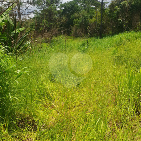 Terreno à venda em Vila Moraes, Mogi das Cruzes, SP