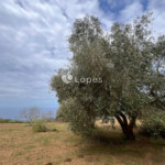 Terreno à venda em San Lucido, Cosenza, Itália – 1.700 m² e vista para o mar