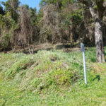 Loteamento à venda em Serra da Cantareira, São Paulo, SP