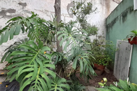 Sobrado à venda com 4 quartos, sendo 1 suíte,  em Jardim São Paulo(zona Norte), São Paulo, SP