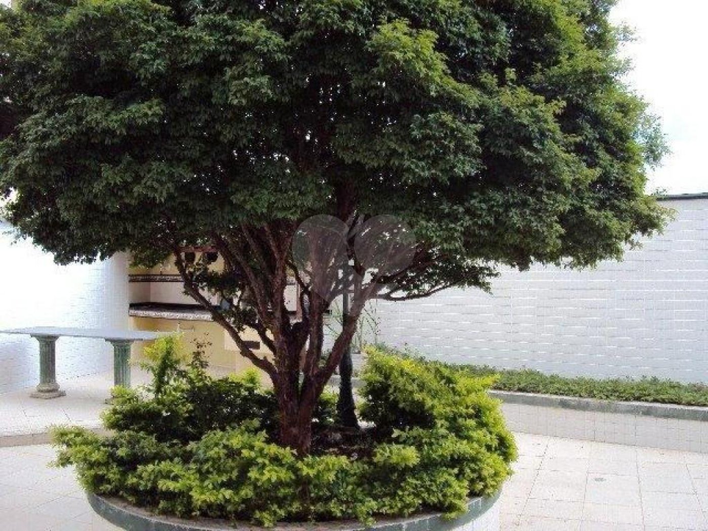 Sobrado à venda com 3 quartos, sendo 1 suíte,  em Vila Paulicéia, São Paulo, SP