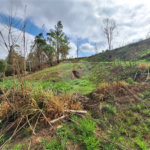 Área de Terra à venda com 1 suíte em Cocais, Itatiba, SP