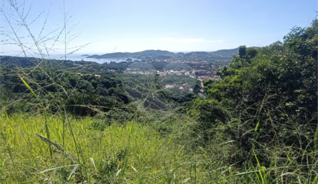 Terreno à venda em Tartaruga, Armação dos Búzios, RJ